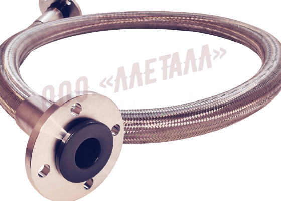 DN50 hose assembly — LLETALL PTFE hose project
